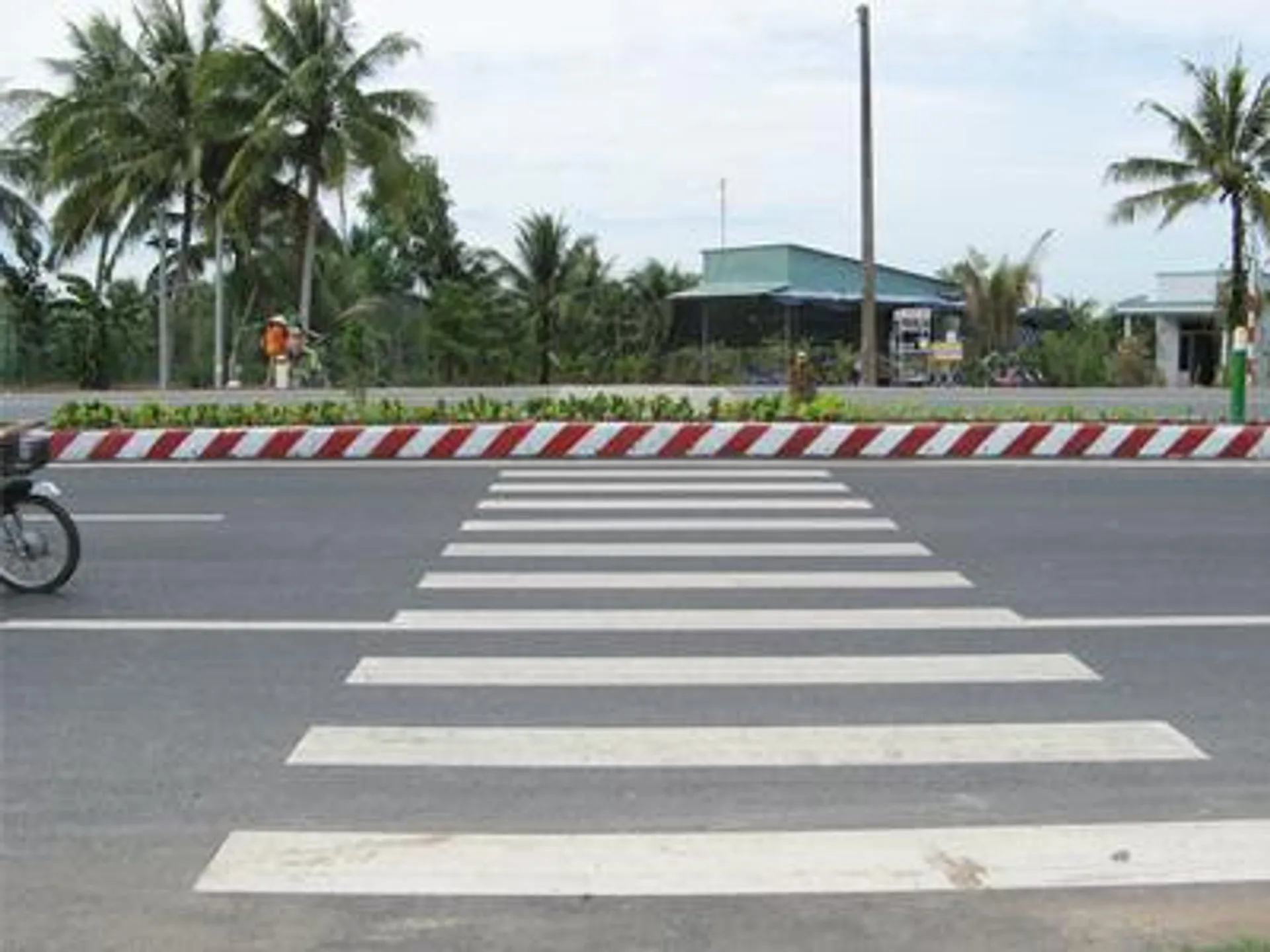 Vạch 7.1 - Vạch dừng xe